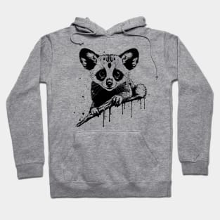 Kinkajou Stare Hoodie